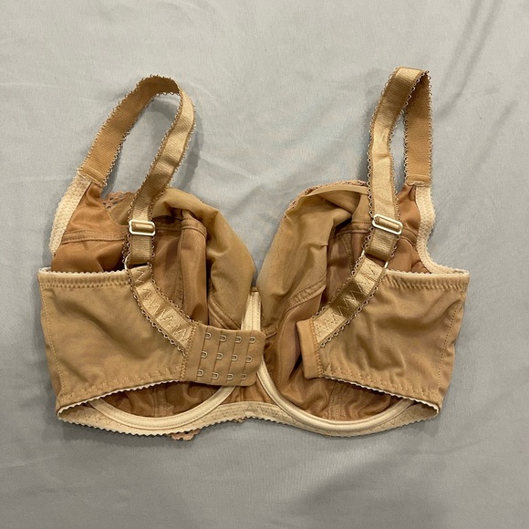 Ewa Michalak BM Bra - Picture 2 of 3